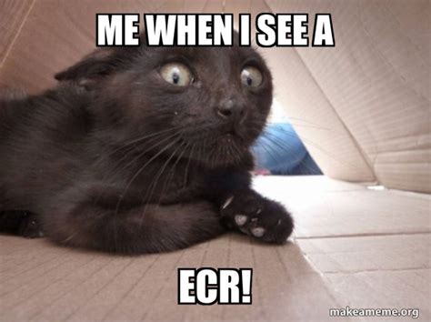 Me When I See A ECR Schitzo Cat Meme Generator