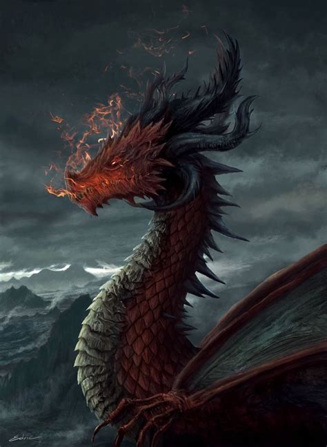 107 Best Images About Red Dragons On Pinterest Dragon Art Dragon Eye