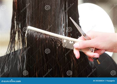 Hairstylist Cutting Hair Woman Client In Hairdressing Beauty Salon