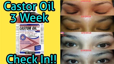 Castor Oil 3 Week Check In Eyebrows And Lashes Youtube