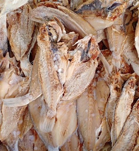 Ini adalah contoh ikan masin gelama basah yang daku agak sering juga gunakan untuk memasak 1 ikat sayur kailan , potong dan bersihkan. Ikan Gelama Masin (100G) - PasarHub - Online Fresh Market