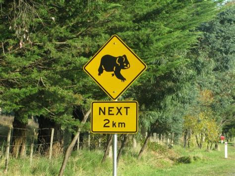 Interesting Road Signs That You Dont See Very Often