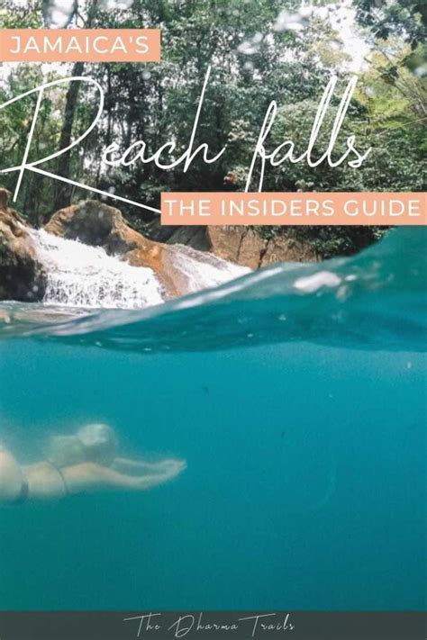 Visiting Reach Falls Jamaica The Locals Guide 2022