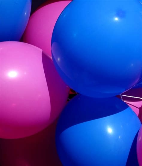 Colorful Pink And Blue Balloons Free Stock Photo Public Domain Pictures