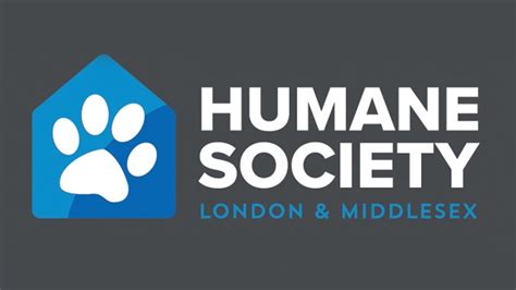 Humane Society London And Middlesex Raises Nearly 400k With Catch The