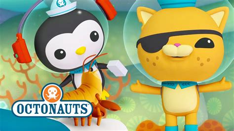 Octonauts Action Packed Sea Mission No4 Youtube