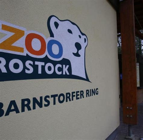 43,452 likes · 8,219 talking about this · 62,163 were here. Vogelgrippe in Rostocks Zoo: Bisher 60 tote Vögel - WELT
