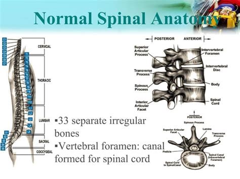 Spinal Injury Dr Sundar Karki