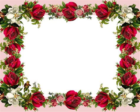 Latestphotoshopimages Rose Frame اطارات وخلفيات Flower Picture