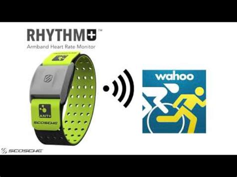 Wahoo fitness is a running, cycling and fitness app that harnesses the awesome power of your android device to transform the way you run, ride and reach your training and fitness goals. How to Connect the Scosche Rhythm+ Heart Rate Monitor to ...