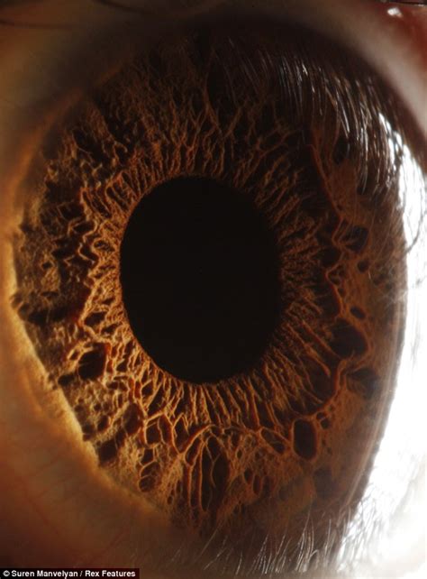 The Beauty Of The Human Eye Iris Structure Similar Planet Easy To Share