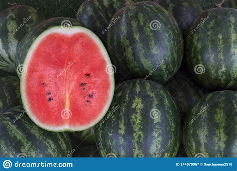 Many Big Sweet Green Watermelons And One Cut Watermelonyoung Green