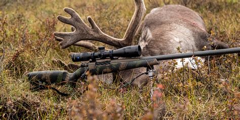 Pack A Punch The Best Lightweight Hunting Rifles