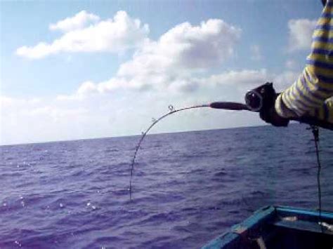 Semua orang tentu saja mengenal ikan paus. Cara Memancing Di Laut Mendapatkan Ikan Besar ~ Resep ...