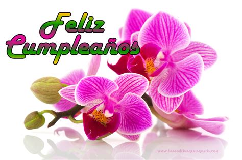 Unique Wallpaper Feliz Cumpleaños Con Rosas Y Orquídeas Postales Con