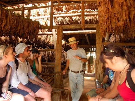 Drying Shed Photo