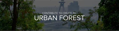 Plant An Urban Forest Reforestaction