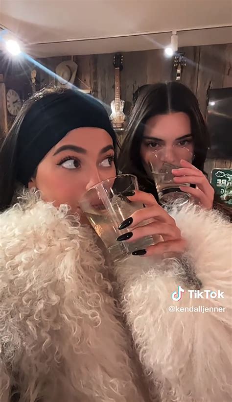 Kendall Kylie Jenner Poke Fun At Kathy Hilton Lisa Rinnas Tequila Feud