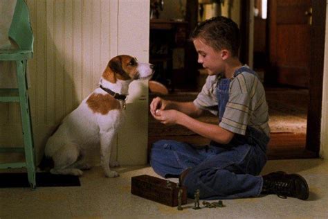 20 лучших фильмов про собак