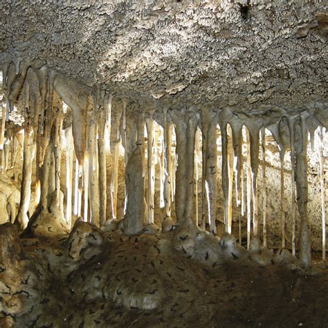 Oregon Caves National Monument And Preserve Cave Junction Omdömen