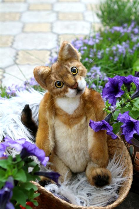 Abyssinian Realistic Toy Cats Craft Nature Cats Portrait Teddy Etsy