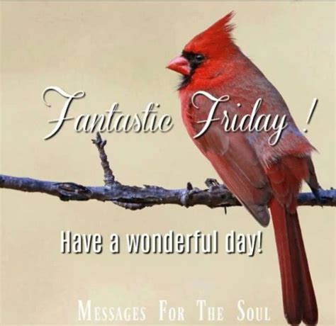 Pin By Carla Roberts On Cardinals Friday Pictures Good Morning Happy