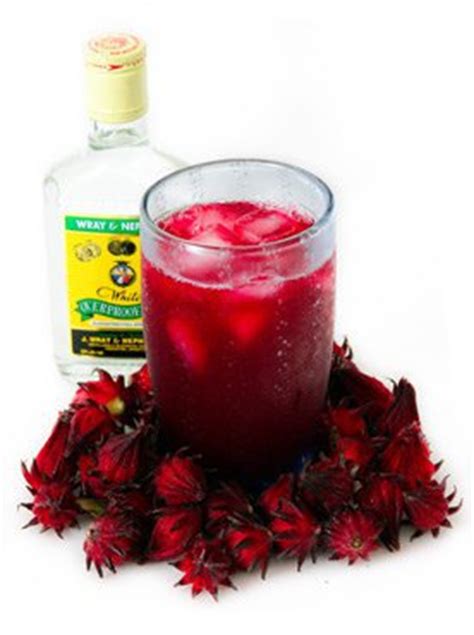 The drink itself, room temperature as it was, was not horrible. Jamaican Sorrel Recipe