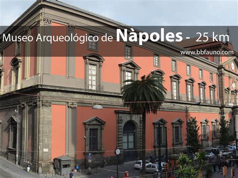 Museo Arqueológico Nápoles Con Las Colecciones Pompeyanas