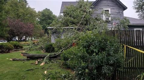 Scammers Sweep In Behind Storm Damage To Scoop Up Cash In Michigan