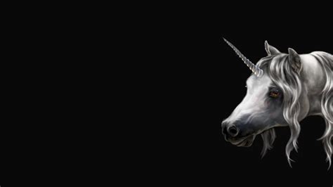 Here are only the best funny unicorn wallpapers. Unicorn HD Wallpaper | Background Image | 1920x1080 | ID ...