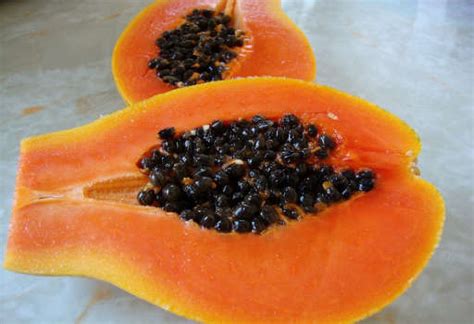 Health Benefits Of Papaya Seed Properties Uses