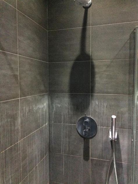 See how to clean your shower floors to remove mold and mildew effectively. Restoring Water Stained Porcelain Shower Tiles - Shower ...