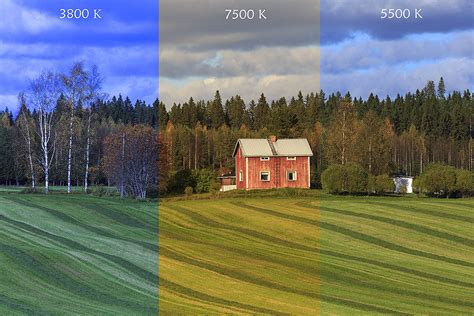 why white balance is very important in photography marat stepanoff photography
