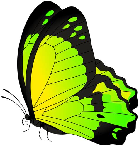 Clipart Border Insect Clipart Border Insect Transparent Free For