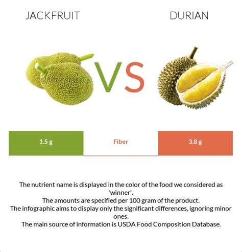 Green Jackfruit Nutritional Value Besto Blog