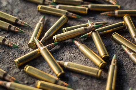 The Us Army Is Developing Biodegradable Bullets That Can Plant Trees