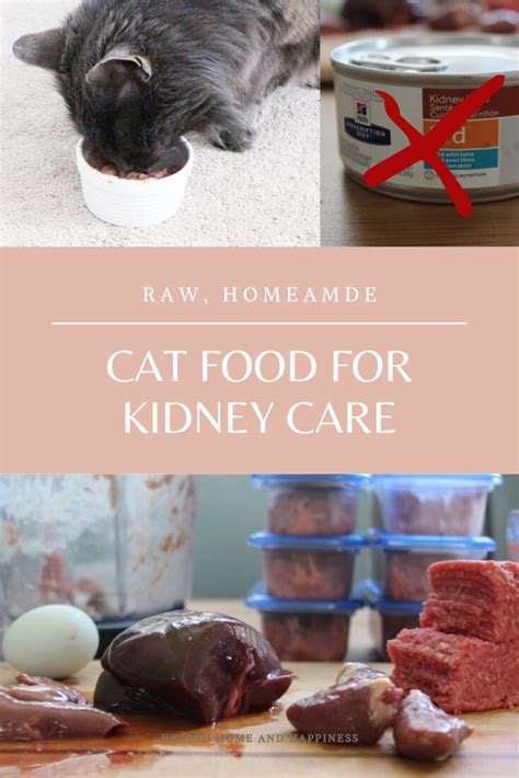 Raw Homemade Kidney Care Diet for Cats - Health, Home ...