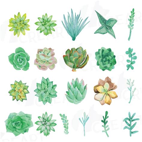 Free Printable Succulent Pictures Printable Templates