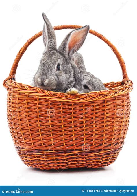 Little Bunnies In A Basket Stock Photo Image Of White 131881782