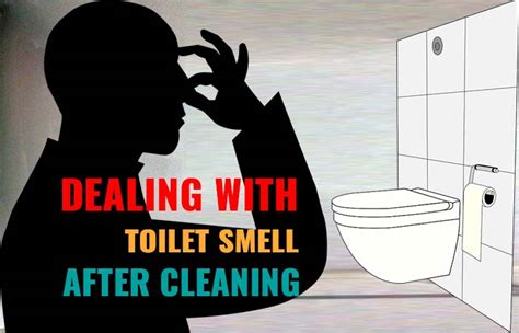 Toilet Smells Even After Cleaning Causes And Fixes Toiletseek