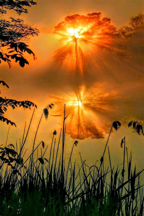 Sun In The Mist At The Lake In 2020 Nature Photography Beautiful
