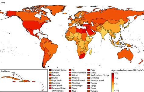 Study Worldwide Obesity Rates Outpace Underweight Rates