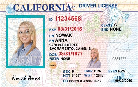 Californian Driving Licence Card Fake Id World