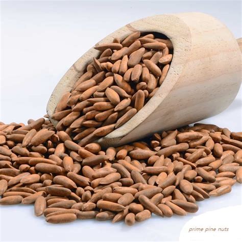 Pine Nuts Chilgoza Premium Quality Pine Nuts Whole Pine From Etsy
