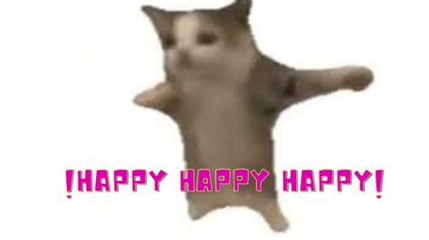 Origin Of Happy Happy Happy Cat Meme Youtube