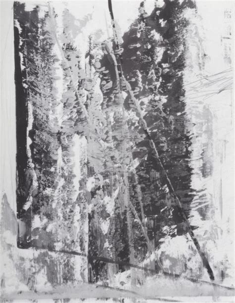 4486 Art Gerhard Richter