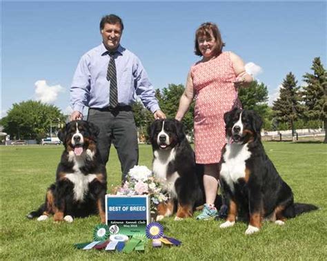 Canadian Kennel Club Club Canin Canadien