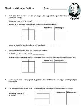 In a monohybrid cross, organisms differing in only one trait are crossed. Monohybrid Punnett Square Worksheet | Printable and ...