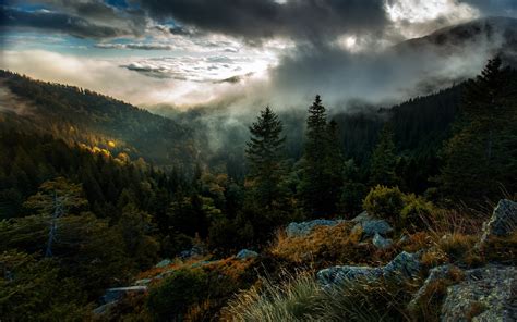 Nature Landscape Forest Mountains Trees Mist Clouds Sky Fall