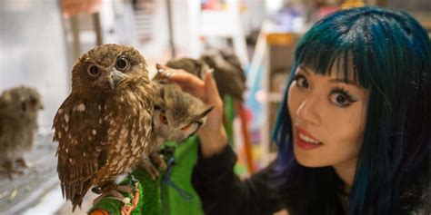 Til Of Owl Cafes A Trend That Is Growing In Japan Where You Can Have